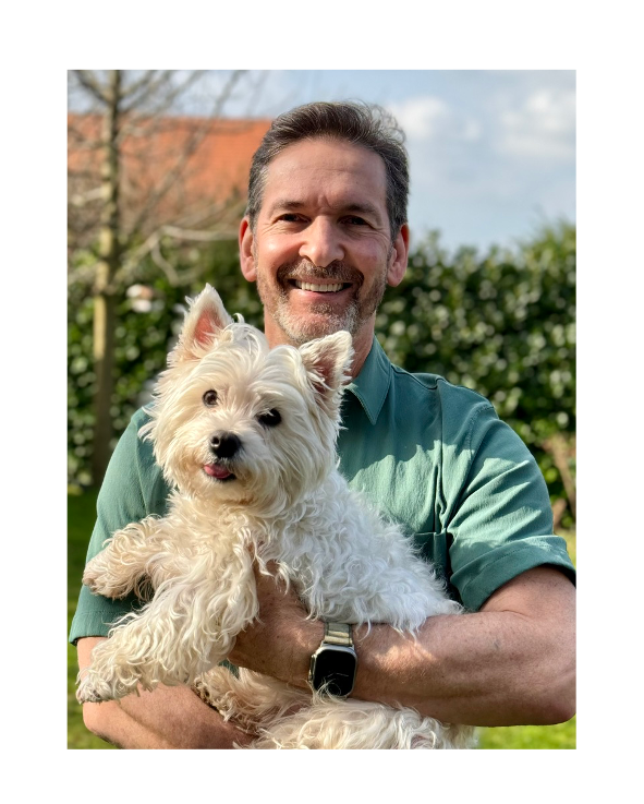 Hundefoto Yorkis