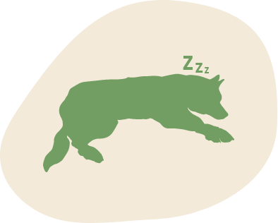 Faulpelz