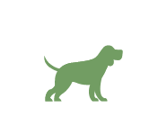 Mittlerer Hund