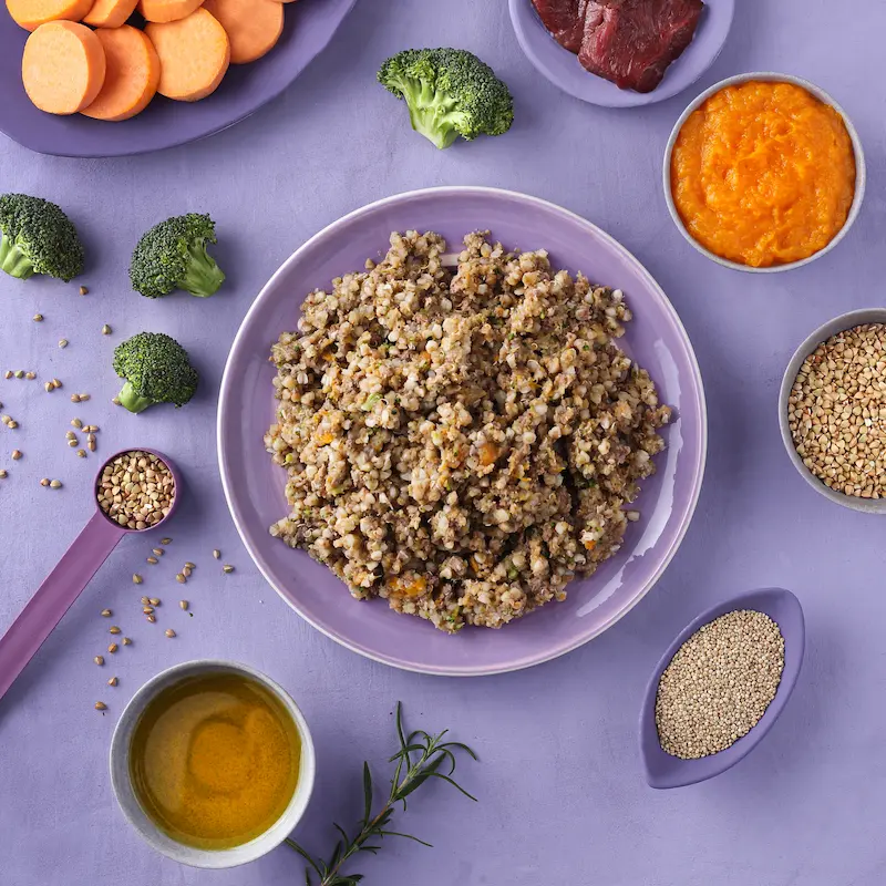 Feinschlecker-Bowl Lamm & Quinoa